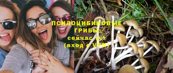 спиды Алексеевка