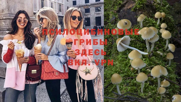 спиды Алексеевка